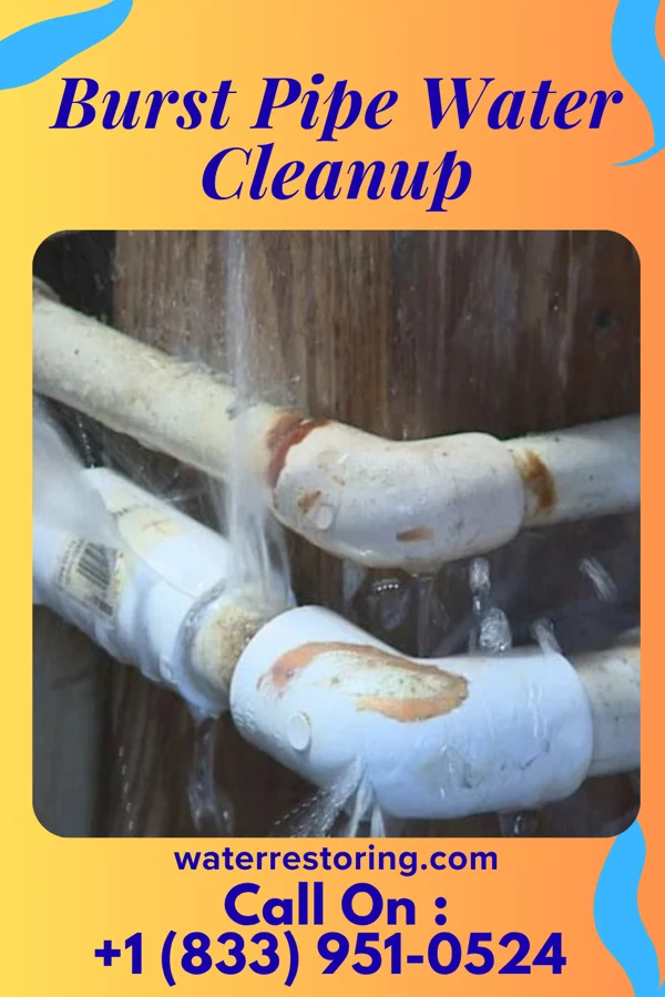 Burst Pipe Water Cleanup in Gunnison, CO