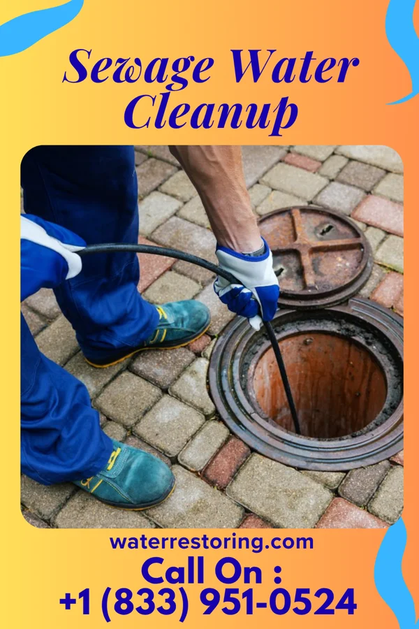 Sewage Water Cleanup in Gunnison, CO